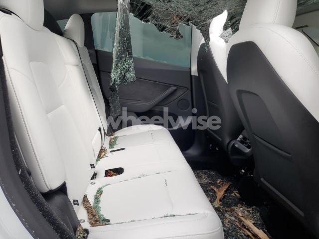 Photo 13 of 2025 TESLA MODEL Y (VIN 7SAYGDEE6SF220440)