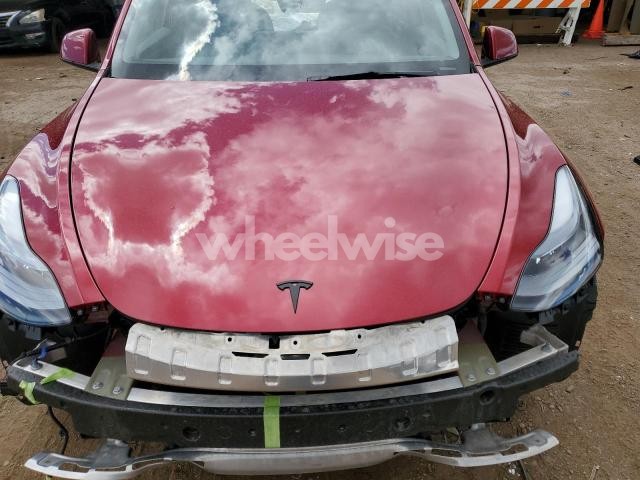 Photo 11 of 2025 TESLA MODEL Y (VIN 7SAYGDEE6SF232698)