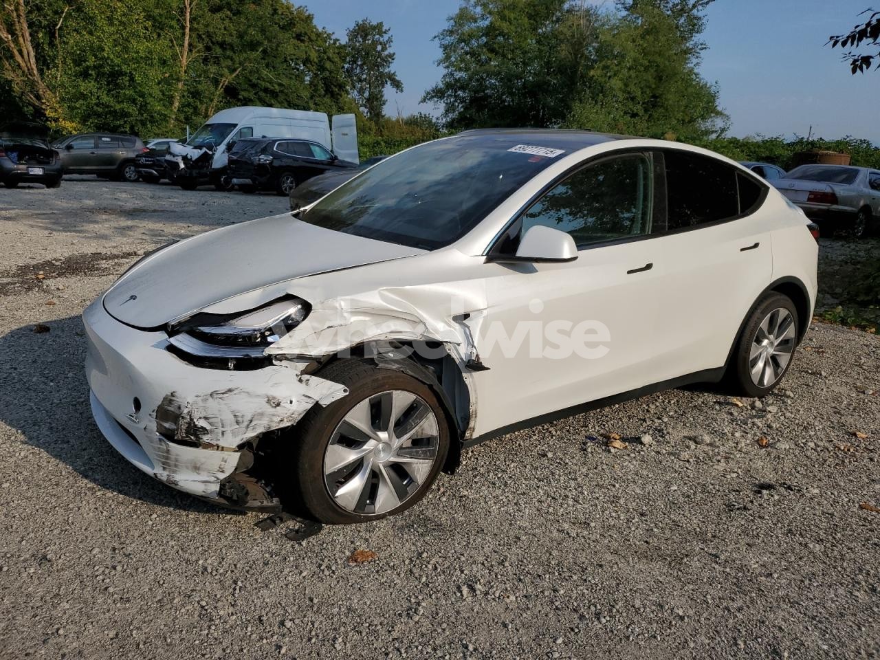 2023 TESLA MODEL Y (VIN 7SAYGDEE7NF436897) main photo