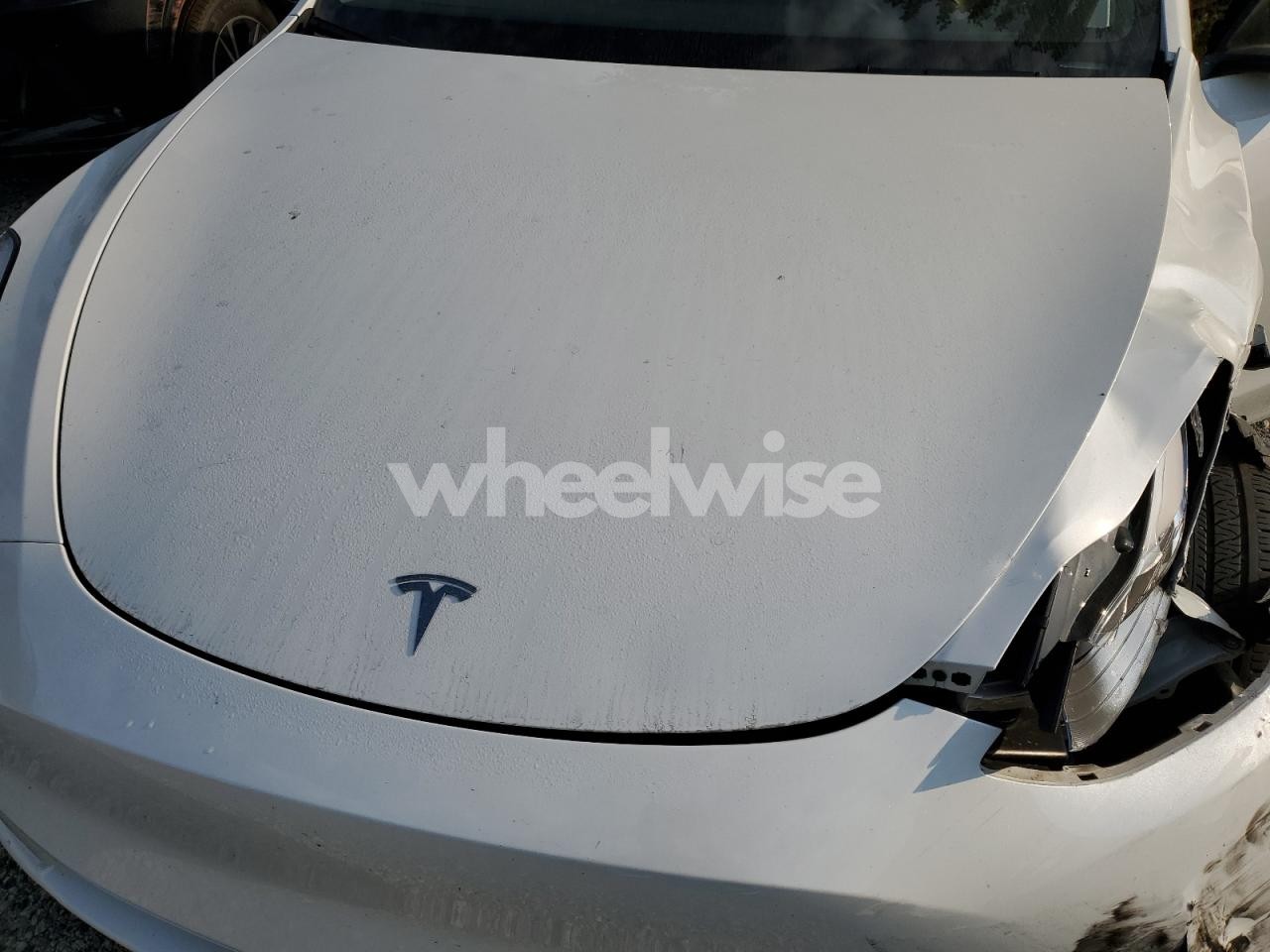 Photo 11 of 2023 TESLA MODEL Y (VIN 7SAYGDEE7NF436897)