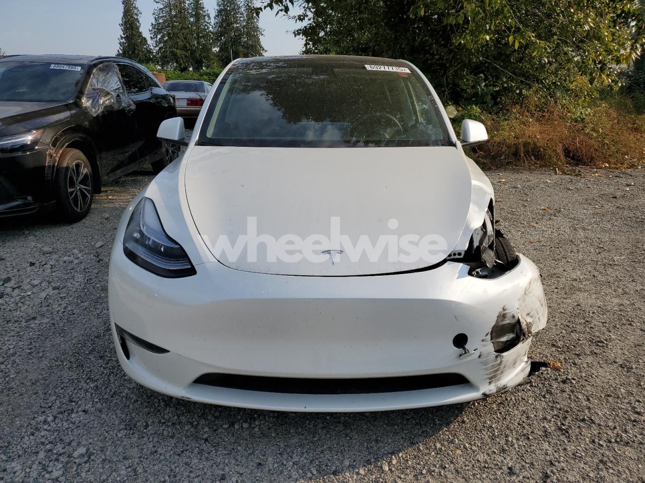 Photo 5 of 2023 TESLA MODEL Y (VIN 7SAYGDEE7NF436897)