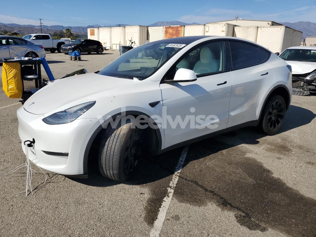 2023 TESLA MODEL Y (VIN 7SAYGDEE7PA105009) main photo