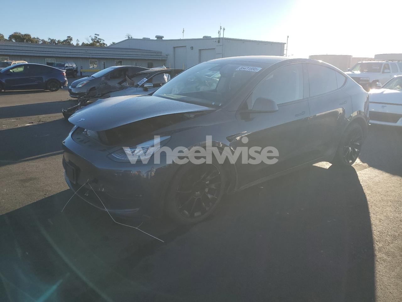 2023 TESLA MODEL Y (VIN 7SAYGDEE7PF587693) main photo
