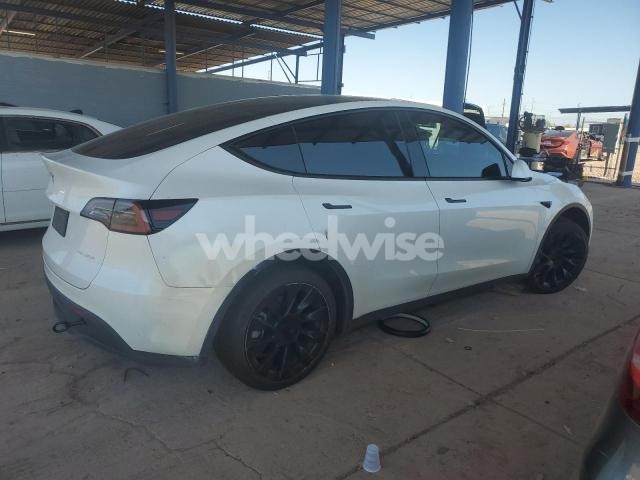 2023 TESLA MODEL Y (VIN 7SAYGDEE7PF599701) main photo