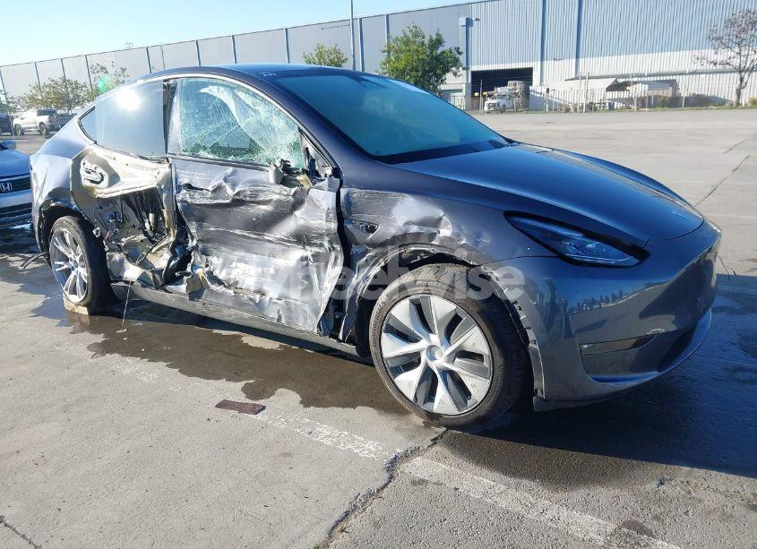 2023 Tesla Model Y (VIN 7SAYGDEE7PF980156) main photo