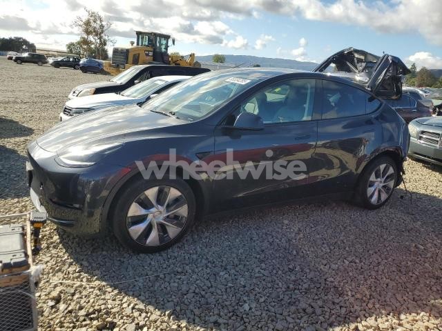 2024 TESLA MODEL Y (VIN 7SAYGDEE7RF031287) main photo