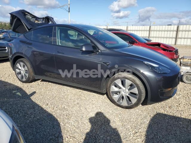 Photo 9 of 2024 TESLA MODEL Y (VIN 7SAYGDEE7RF031287)