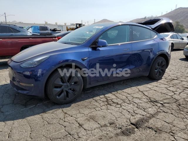 2025 TESLA MODEL Y (VIN 7SAYGDEE7SF276144) main photo