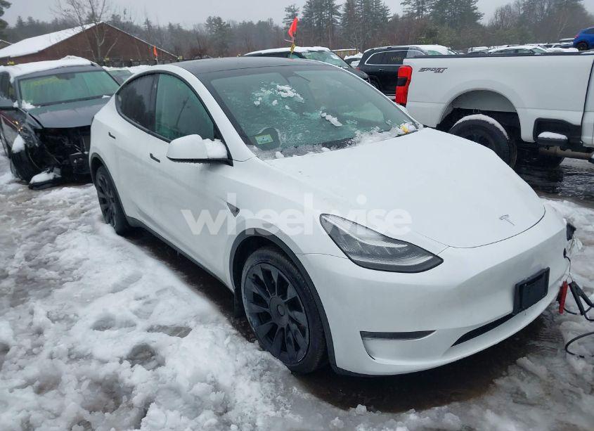 2023 Tesla Model Y (VIN 7SAYGDEE8PA071727) main photo