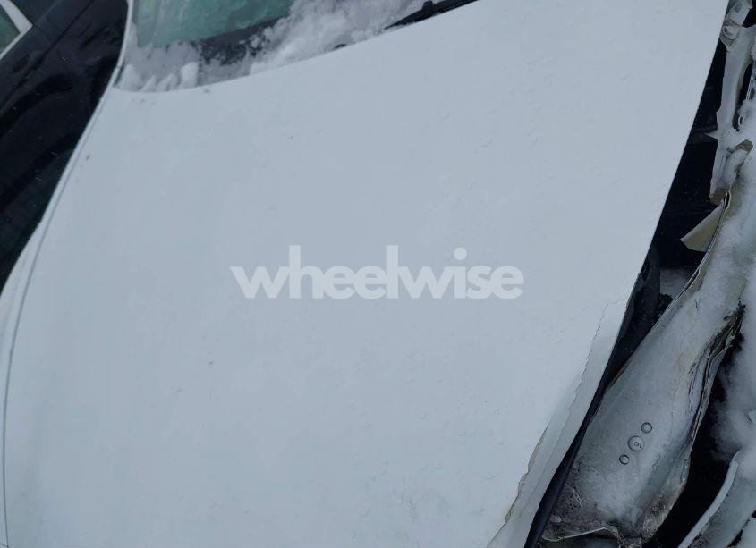 Photo 10 of 2023 Tesla Model Y (VIN 7SAYGDEE8PA071727)