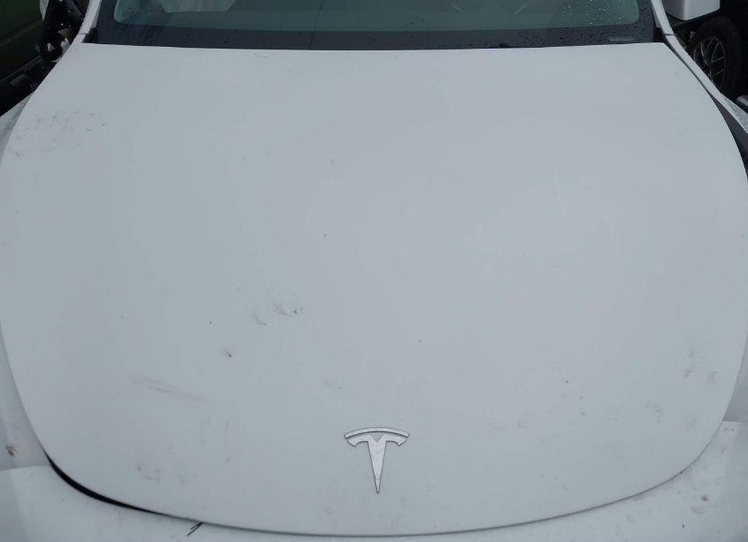 Photo 10 of 2023 Tesla Model Y AWD/LONG RANGE DUAL MOTOR ALL-WHEEL DRIVE (VIN 7SAYGDEE8PF686040)