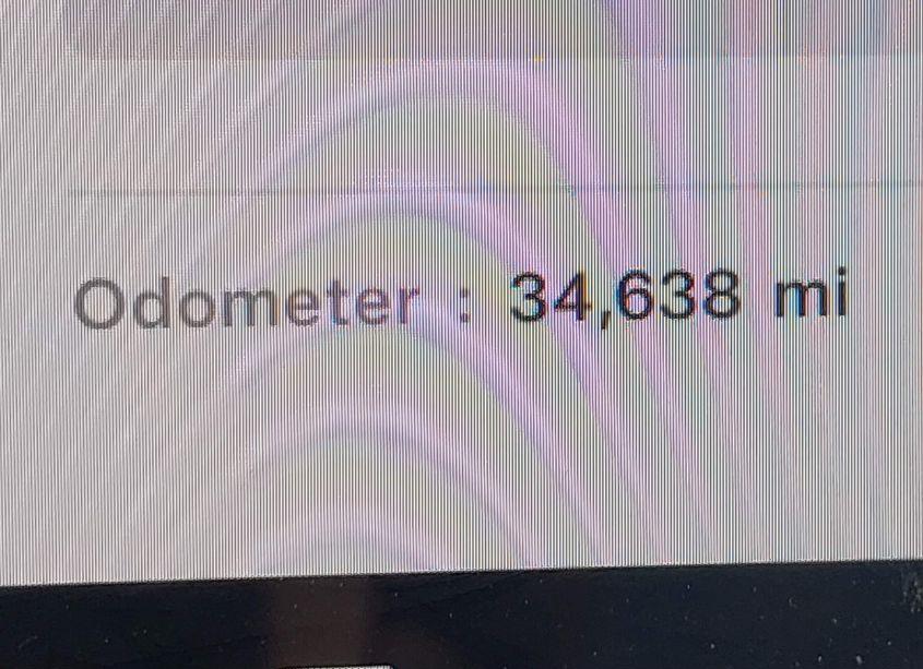 Photo 15 of 2023 Tesla Model Y AWD/LONG RANGE DUAL MOTOR ALL-WHEEL DRIVE (VIN 7SAYGDEE8PF799227)