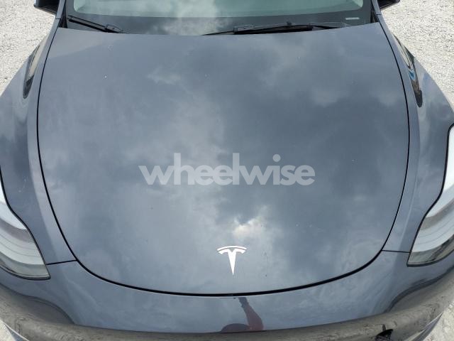 2024 TESLA MODEL Y (VIN 7SAYGDEE8RA233228) main photo