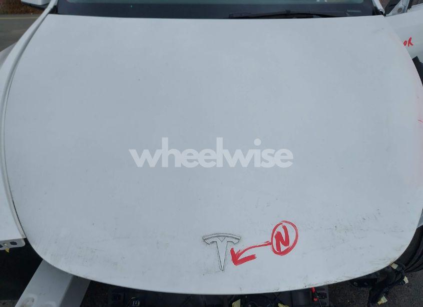 Photo 10 of 2023 Tesla Model Y (VIN 7SAYGDEE9PA025064)