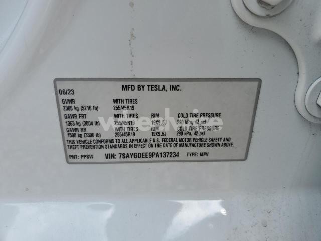 2023 TESLA MODEL Y (VIN 7SAYGDEE9PA137234) main photo