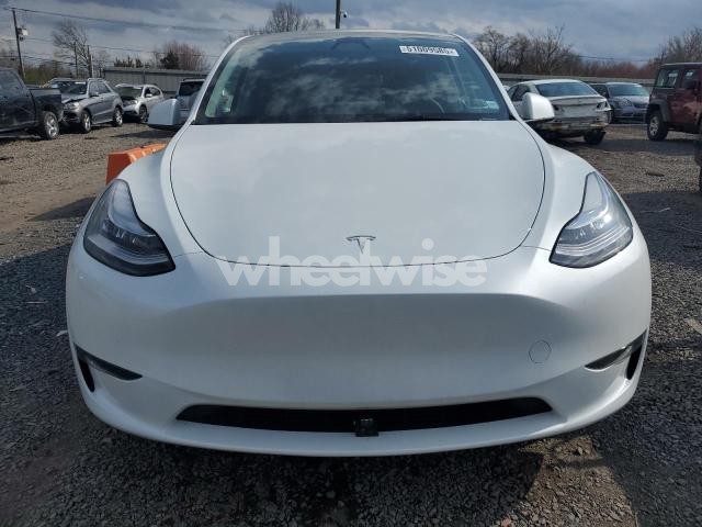 Photo 11 of 2023 TESLA MODEL Y (VIN 7SAYGDEE9PA137234)