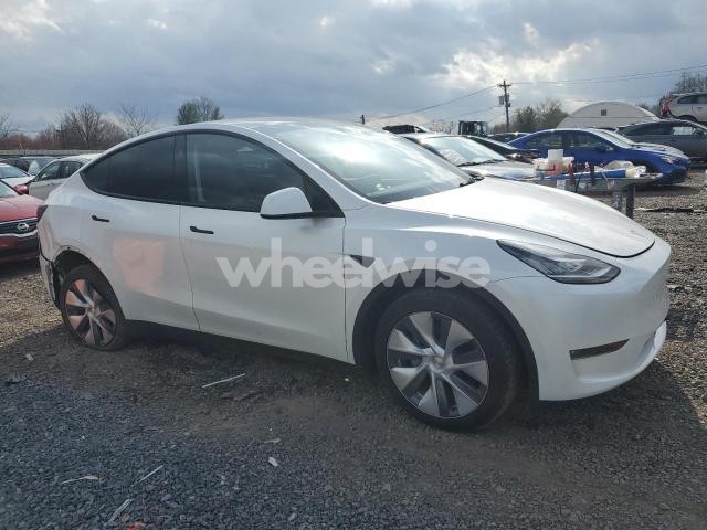 Photo 12 of 2023 TESLA MODEL Y (VIN 7SAYGDEE9PA137234)