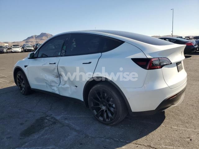 2023 TESLA MODEL Y (VIN 7SAYGDEE9PF583113) main photo