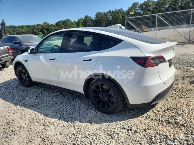 Photo 10 of 2023 TESLA MODEL Y (VIN 7SAYGDEE9PF610603)