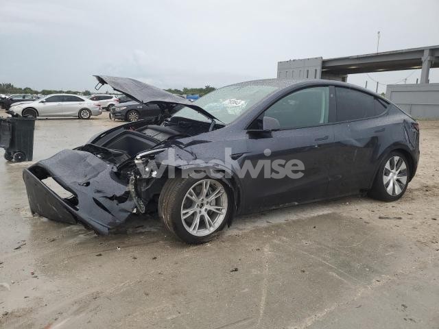 2024 TESLA MODEL Y (VIN 7SAYGDEE9RA253200) main photo