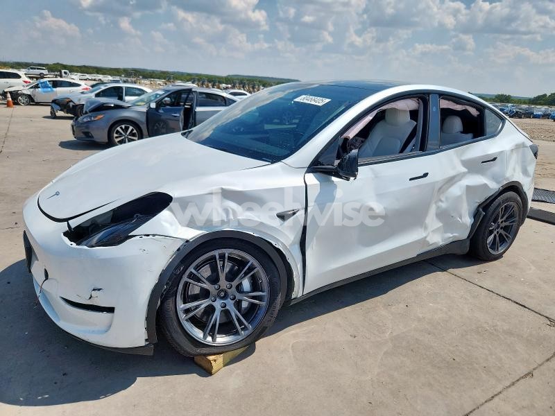 2024 TESLA MODEL Y (VIN 7SAYGDEE9RA321107) main photo