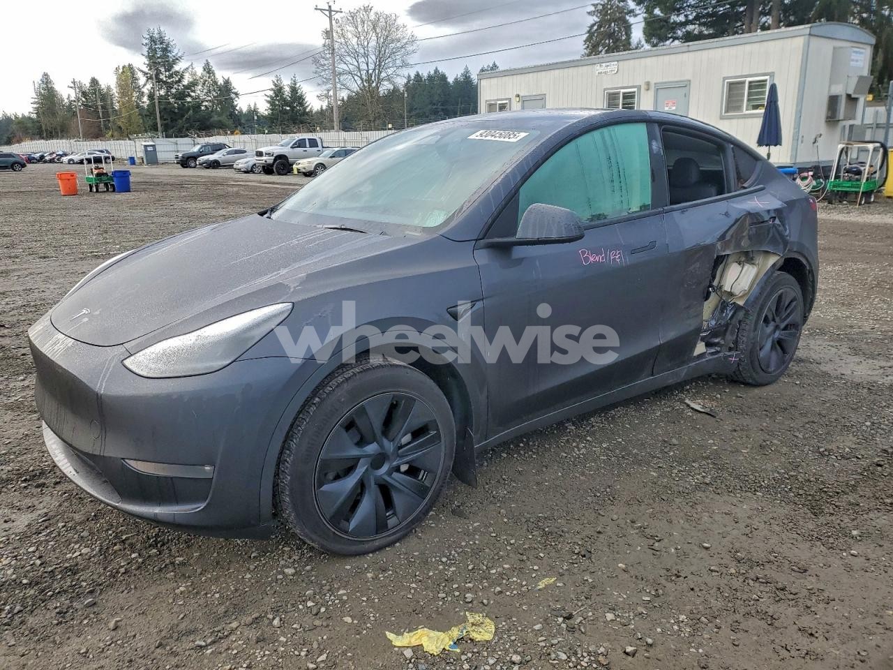 2024 TESLA MODEL Y (VIN 7SAYGDEE9RF178968) main photo