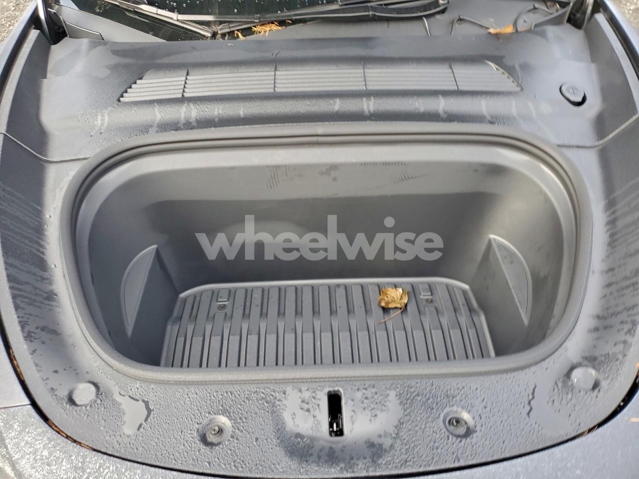 Photo 11 of 2024 TESLA MODEL Y (VIN 7SAYGDEE9RF178968)