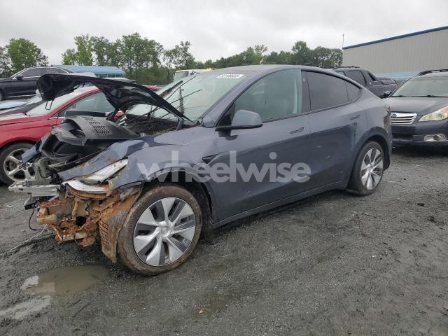 2023 TESLA MODEL Y (VIN 7SAYGDEEXPA023372) main photo