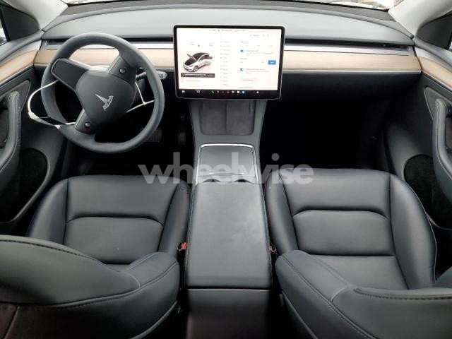 2023 TESLA MODEL Y (VIN 7SAYGDEEXPF781926) main photo