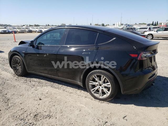 2023 TESLA MODEL Y (VIN 7SAYGDEEXPF792229) main photo