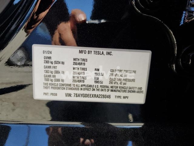 2024 TESLA MODEL Y (VIN 7SAYGDEEXRA228046) main photo