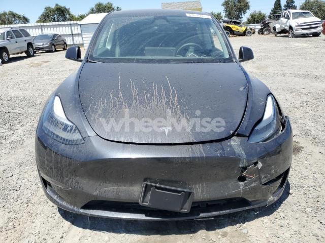 2024 TESLA MODEL Y (VIN 7SAYGDEEXRF058614) main photo