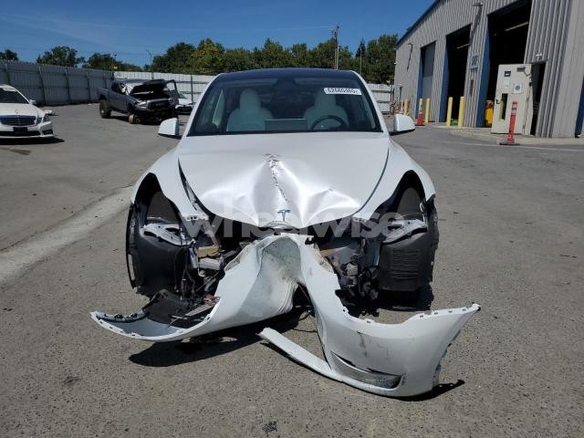 2024 TESLA MODEL Y (VIN 7SAYGDEEXRF065160) main photo