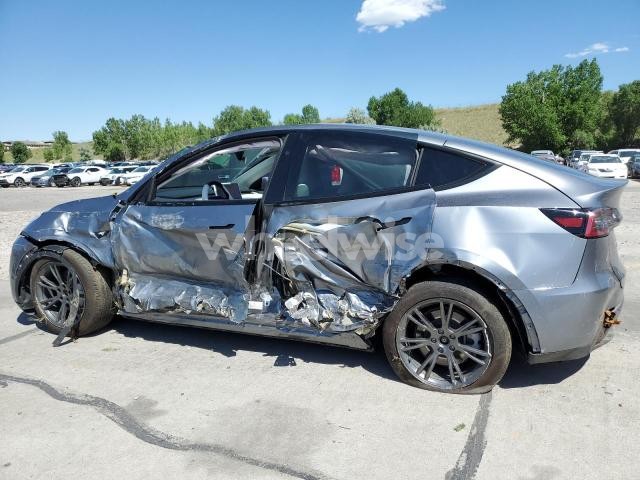 2025 TESLA MODEL Y (VIN 7SAYGDEEXSF257099) main photo