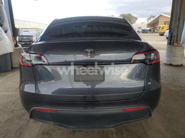 2025 TESLA MODEL Y (VIN 7SAYGDEEXSF308181) main photo