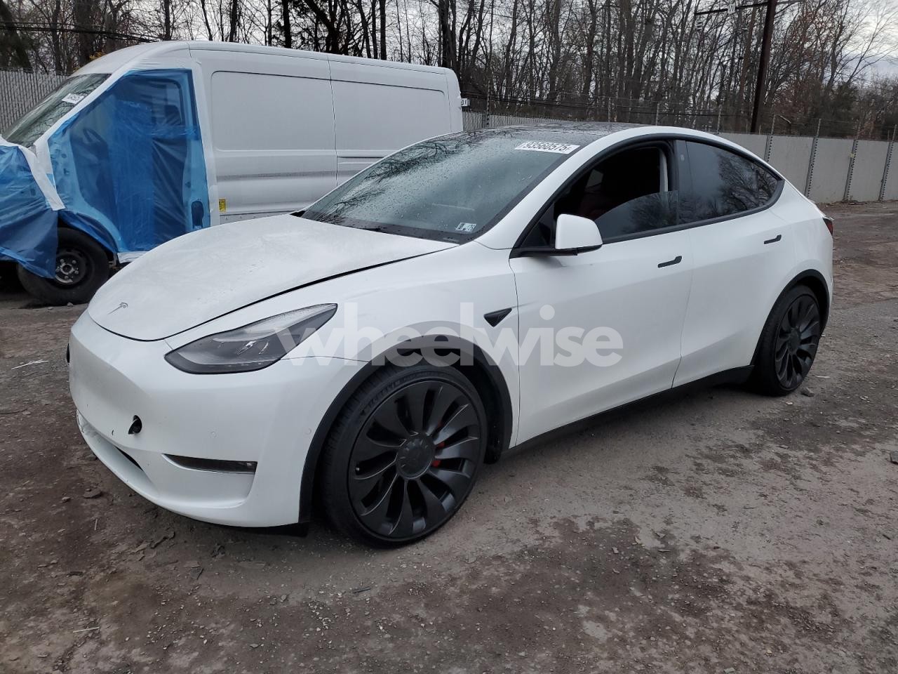 2022 TESLA MODEL Y (VIN 7SAYGDEF0NF309384) main photo