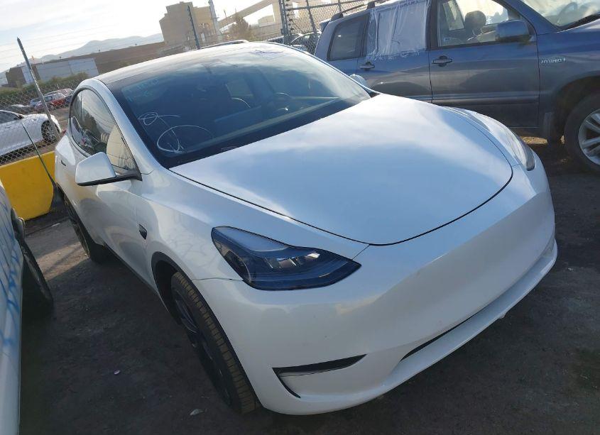 2022 Tesla Model Y PERFORMANCE DUAL MOTOR ALL-WHEEL DRIVE (VIN 7SAYGDEF0NF493323) main photo