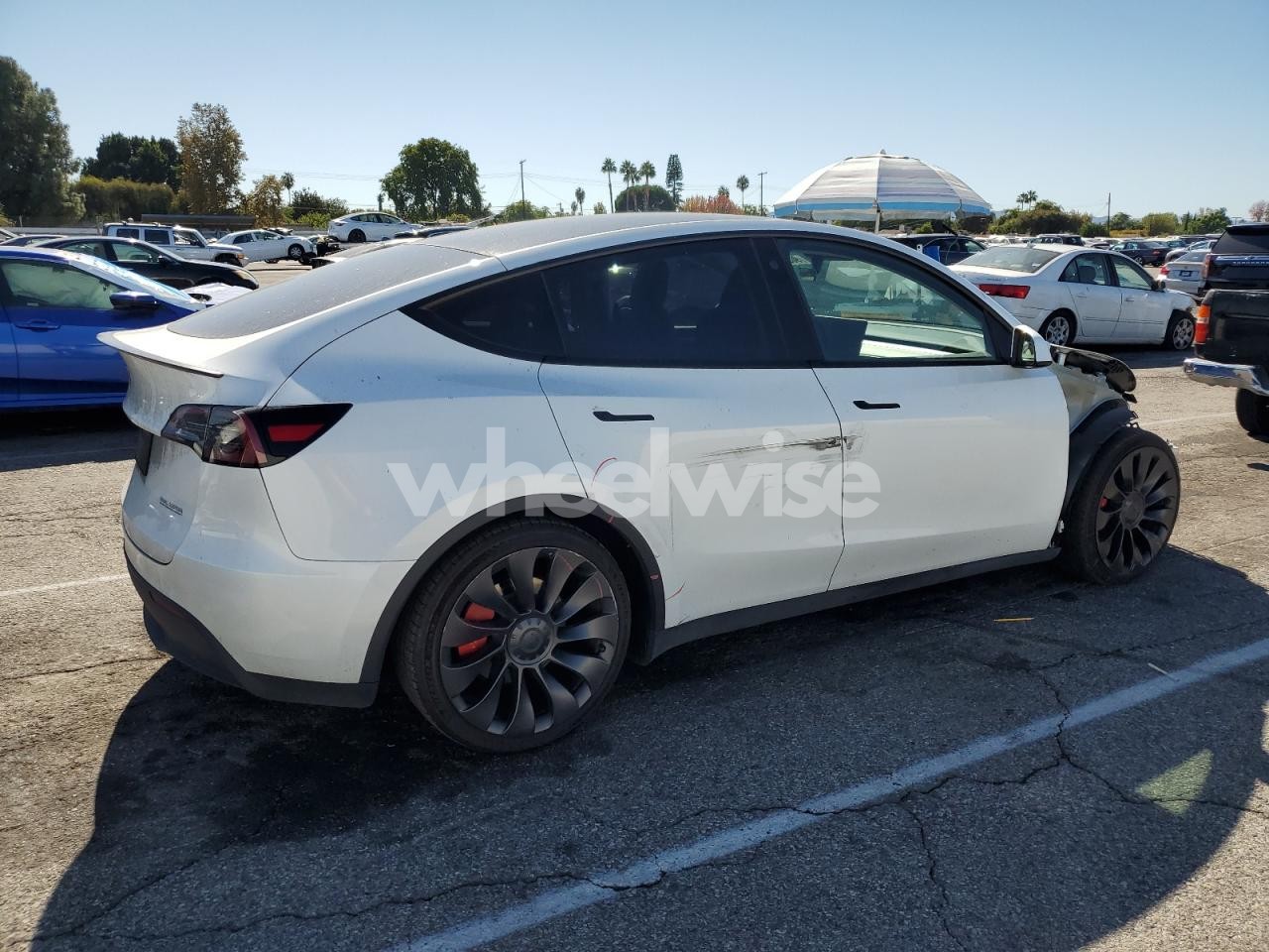 Photo 3 of 2023 TESLA MODEL Y (VIN 7SAYGDEF0PF606013)