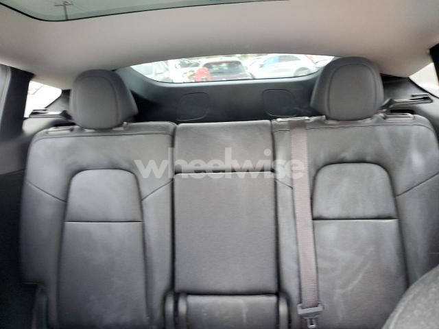 Photo 3 of 2024 TESLA MODEL Y (VIN 7SAYGDEF0RA281380)