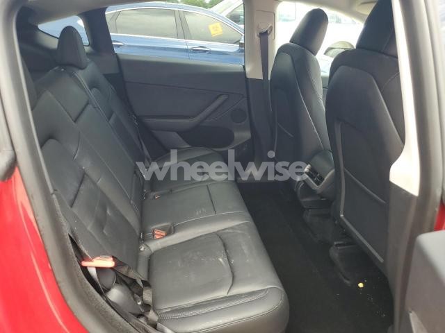 2023 TESLA MODEL Y (VIN 7SAYGDEF1PF661067) main photo