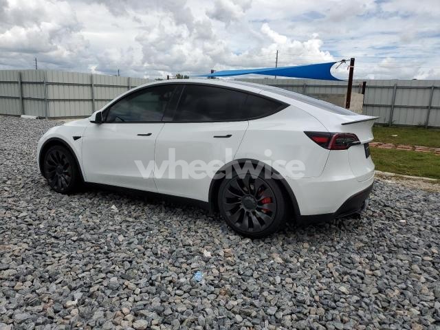 2023 TESLA MODEL Y (VIN 7SAYGDEF1PF766191) main photo