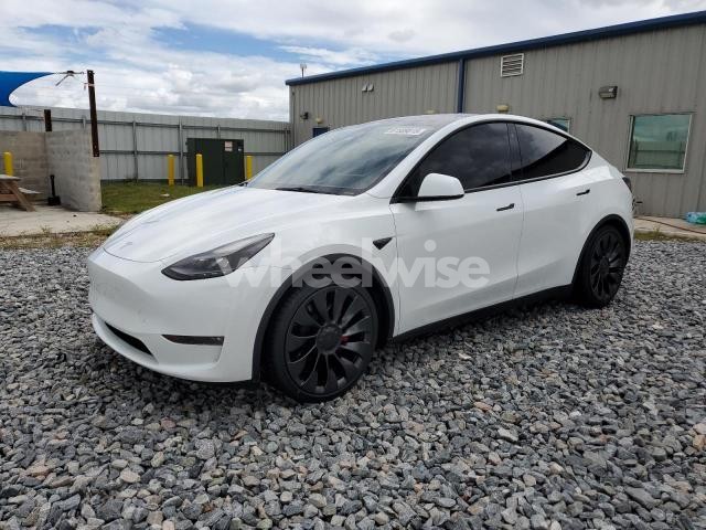 Photo 9 of 2023 TESLA MODEL Y (VIN 7SAYGDEF1PF766191)