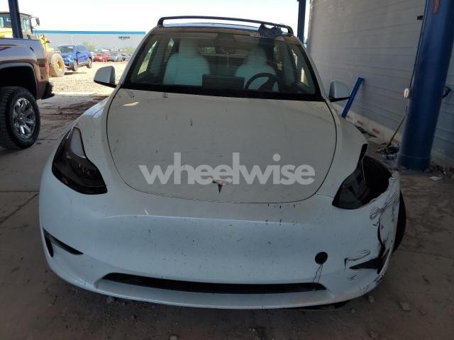 2023 TESLA MODEL Y (VIN 7SAYGDEF1PF778700) main photo