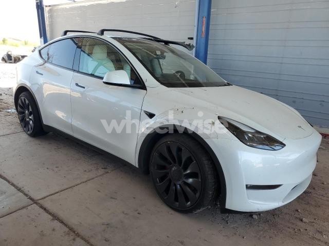 Photo 12 of 2023 TESLA MODEL Y (VIN 7SAYGDEF1PF778700)