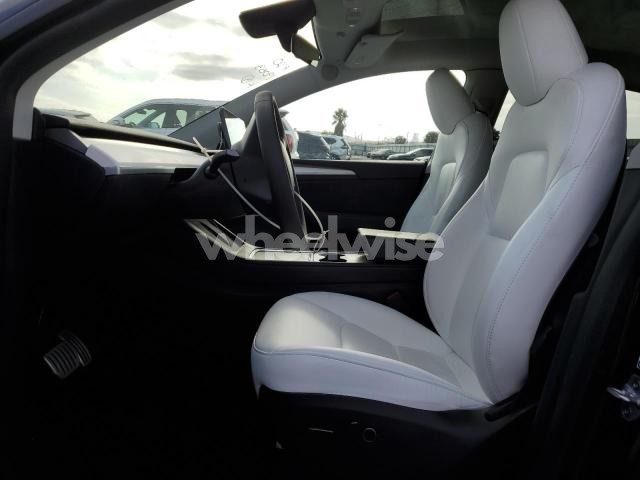 2024 TESLA MODEL Y (VIN 7SAYGDEF1RF166208) main photo