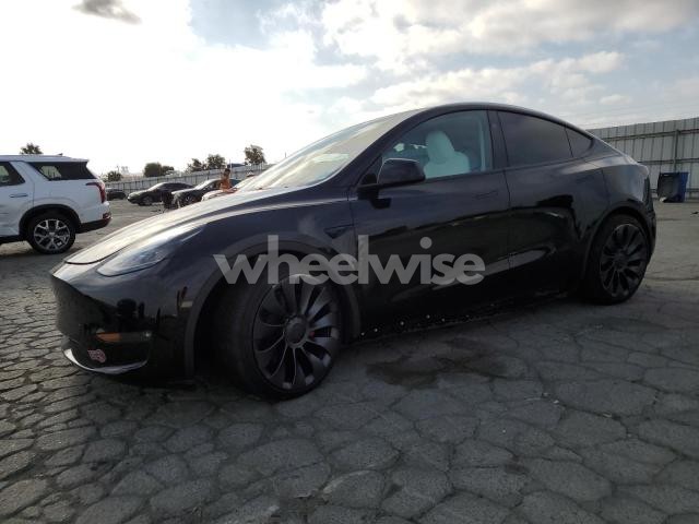 Photo 10 of 2024 TESLA MODEL Y (VIN 7SAYGDEF1RF166208)