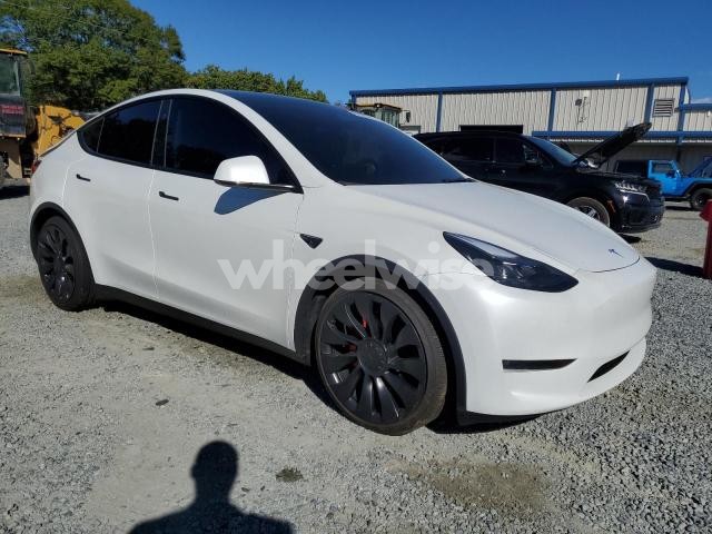 Photo 14 of 2025 TESLA MODEL Y (VIN 7SAYGDEF1SA344167)