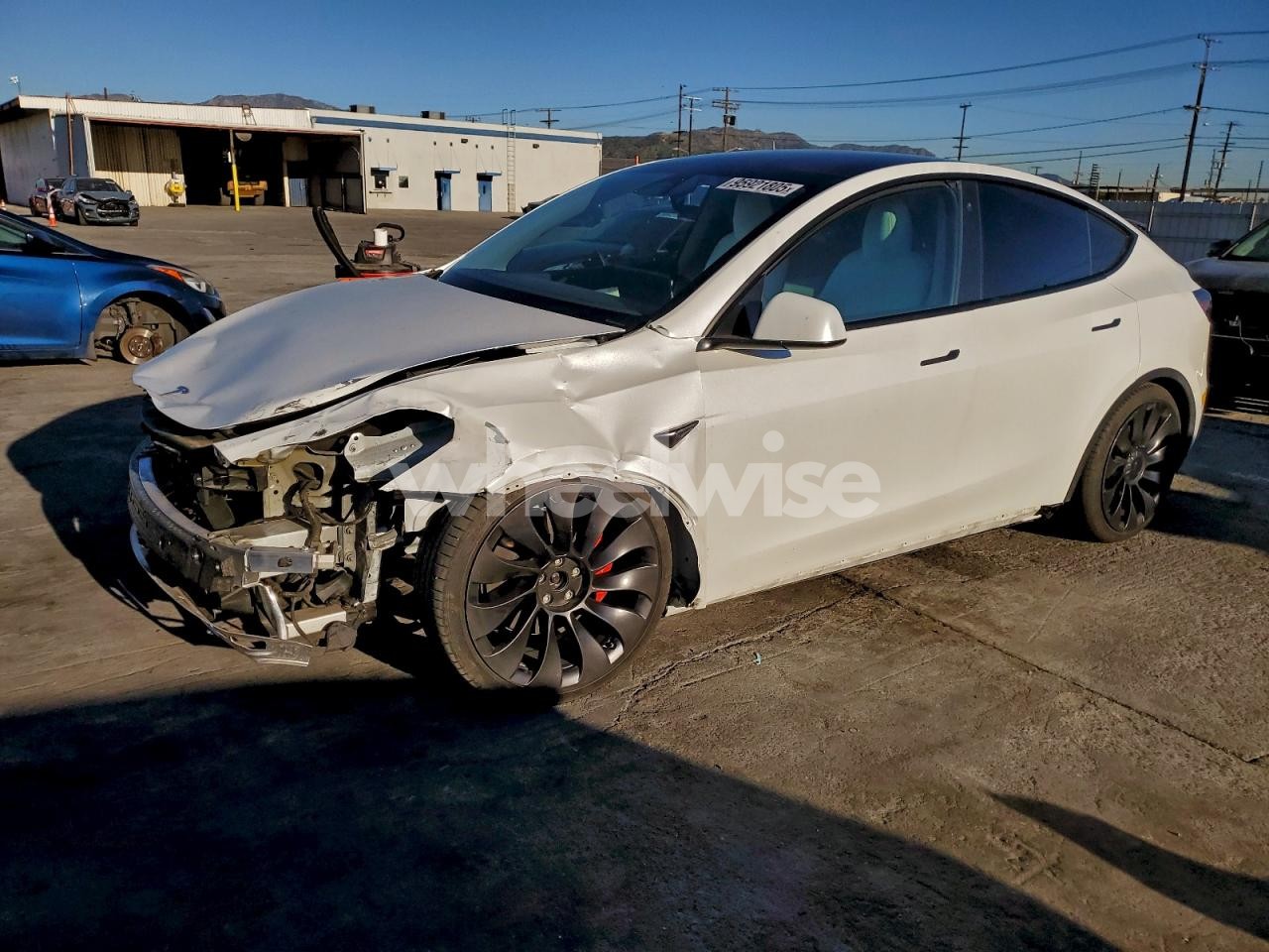 2022 TESLA MODEL Y (VIN 7SAYGDEF2NF390436) main photo