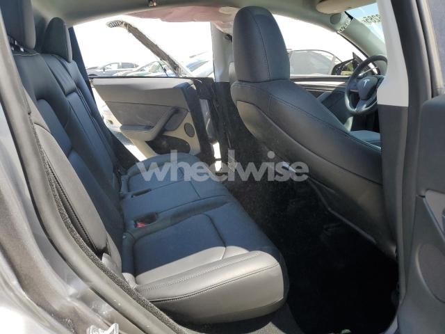 2024 TESLA MODEL Y (VIN 7SAYGDEF2RF152091) main photo