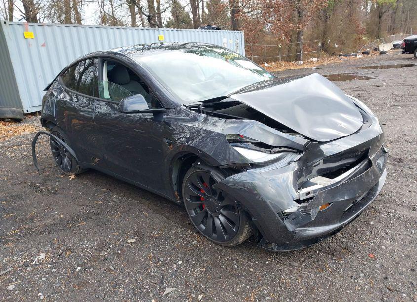 2024 Tesla Model Y PERFORMANCE DUAL MOTOR ALL-WHEEL DRIVE (VIN 7SAYGDEF2RF186709) main photo